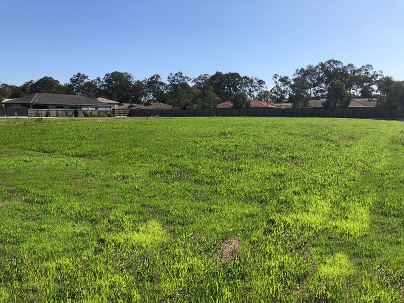 Childs Street, Bracken Ridge QLD 4017