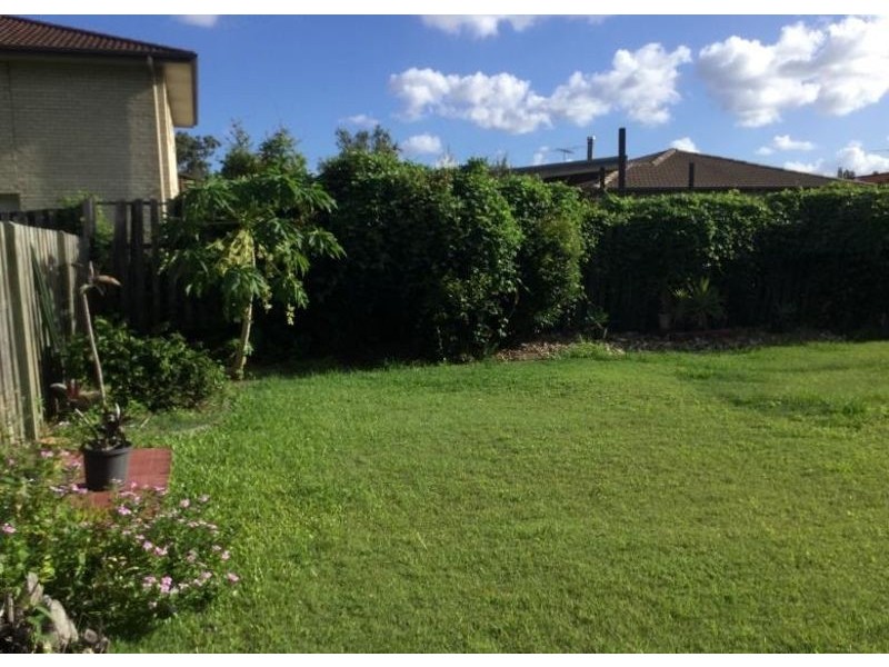 61 Macaranga Crescent, Carseldine QLD 4034