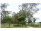 61 Macaranga Crescent, Carseldine QLD 4034