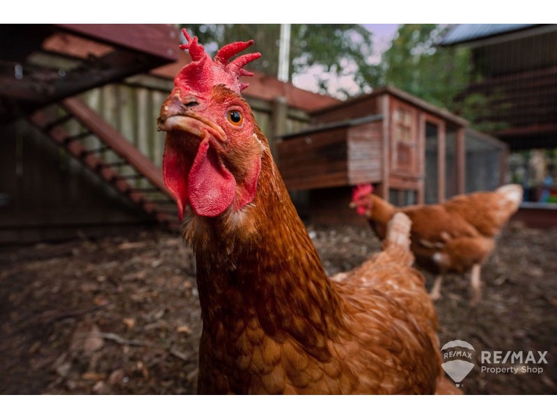 5 Herbert Street, Brighton QLD 4017