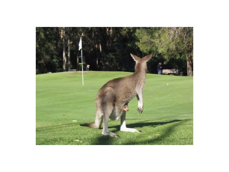 86/1A Tomaree Street, Nelson Bay NSW 2315