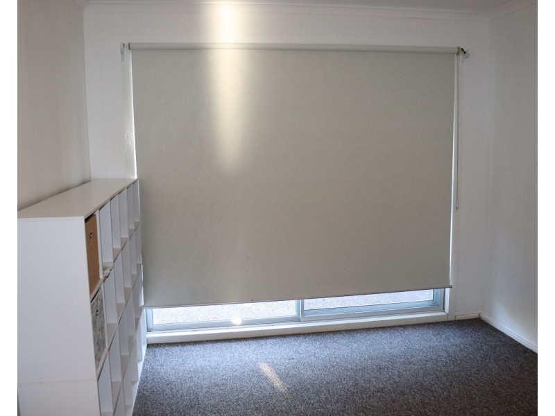 10 Elaine Avenue, Lemon Tree Passage NSW 2319