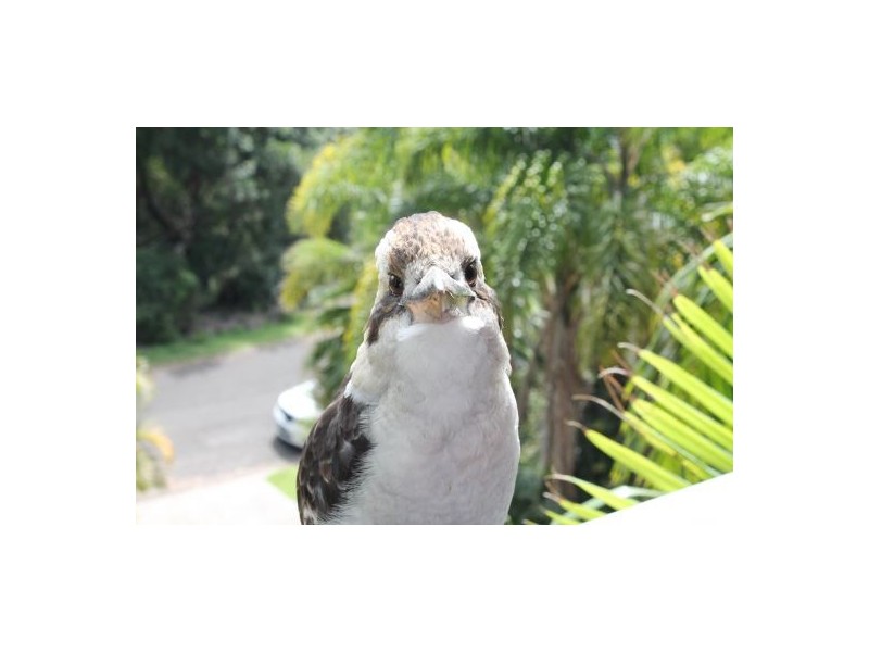 85 Cromarty Bay Road, Soldiers Point NSW 2317