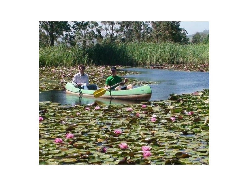 384 Jems Creek Road, Cobark NSW 2422