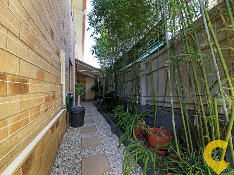 41 Palmtree Avenue, Scarborough QLD 4020