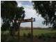 29 Greene Street, Rothwell QLD 4022