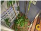 11/43 North Quay, Scarborough QLD 4020