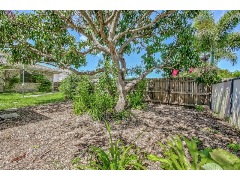 55 Victoria Avenue, Woody Point QLD 4019