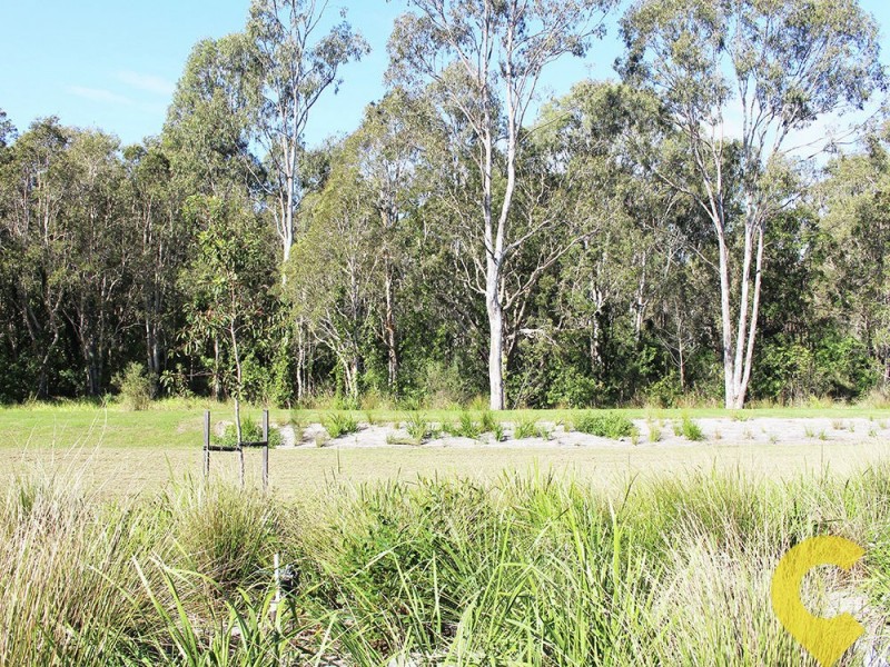 13 Macquarie Circuit, Fitzgibbon QLD 4018