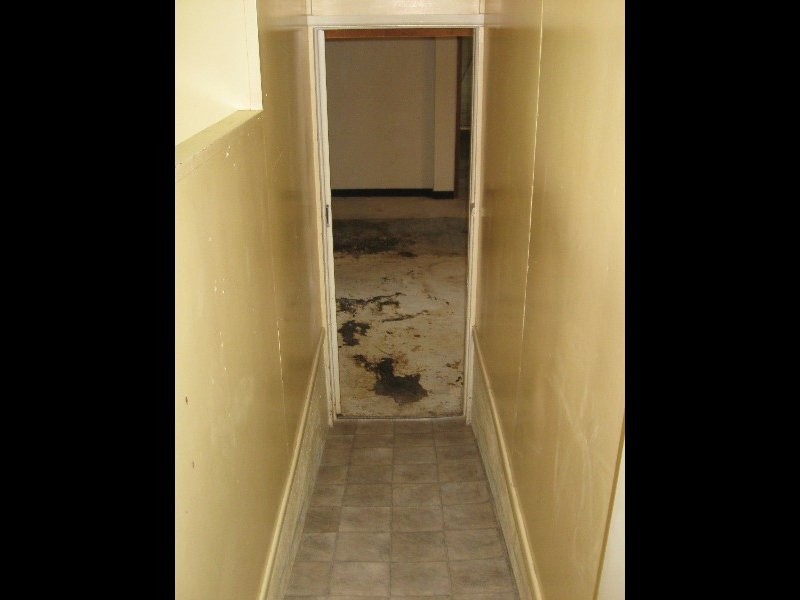 41 Lucas Street, Scarborough QLD 4020