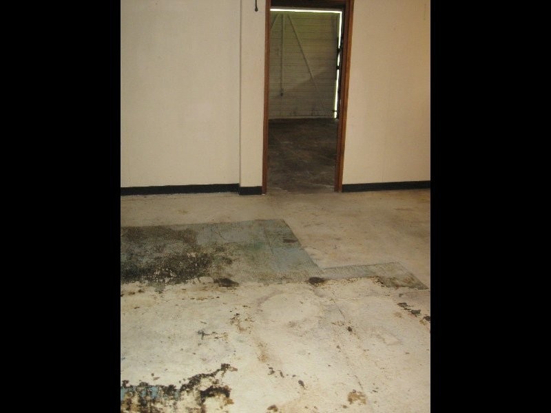 41 Lucas Street, Scarborough QLD 4020