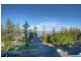 8/109 Landsborough Avenue, Scarborough QLD 4020