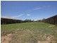 27 Adam Street, Beachmere QLD 4510