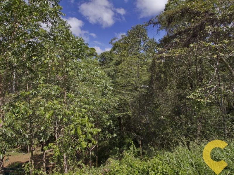 25 Cicada Close, Buderim QLD 4556