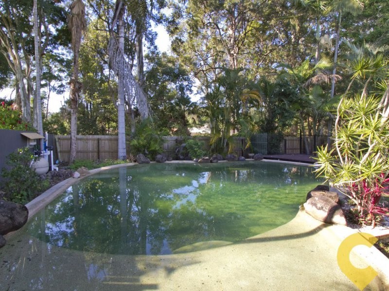 56 Deloraine Drive, Buderim QLD 4556
