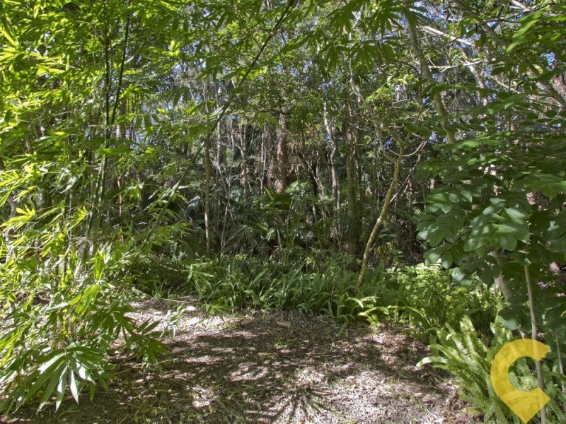 33 Rainforest Drive, Meridan Plains QLD 4551