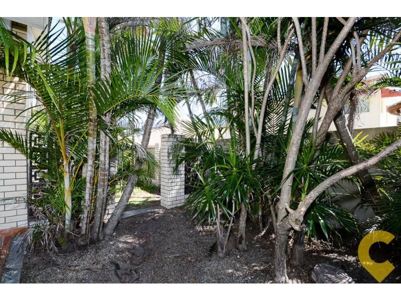 1 Baleara Street, Buddina QLD 4575