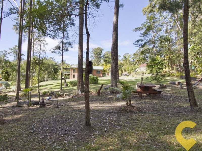 53 Nina Drive, Palmview QLD 4553