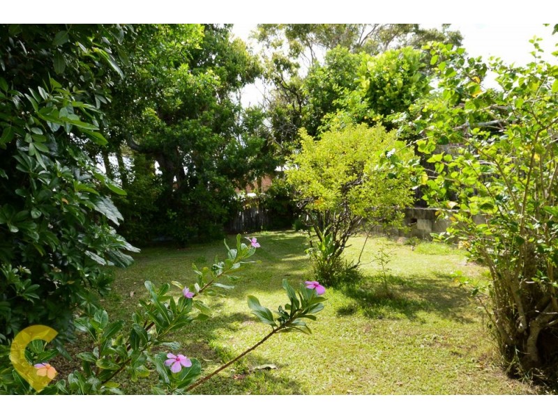 5 William Street, Shelly Beach QLD 4551