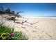 7 Cormorant Court, Aroona QLD 4551