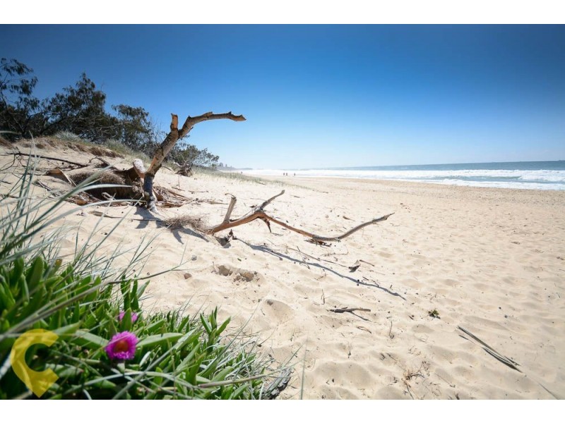 7 Cormorant Court, Aroona QLD 4551