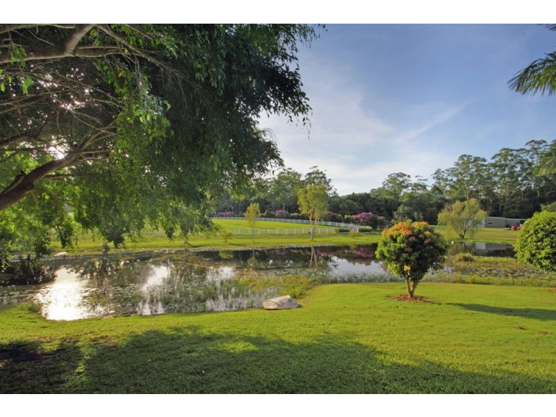 106 McKees Road, Palmwoods QLD 4555