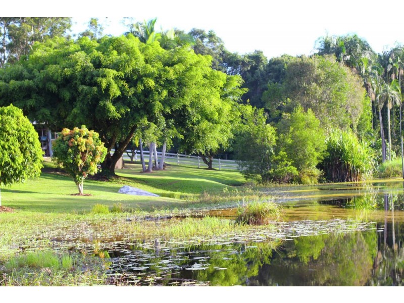 106 McKees Road, Palmwoods QLD 4555