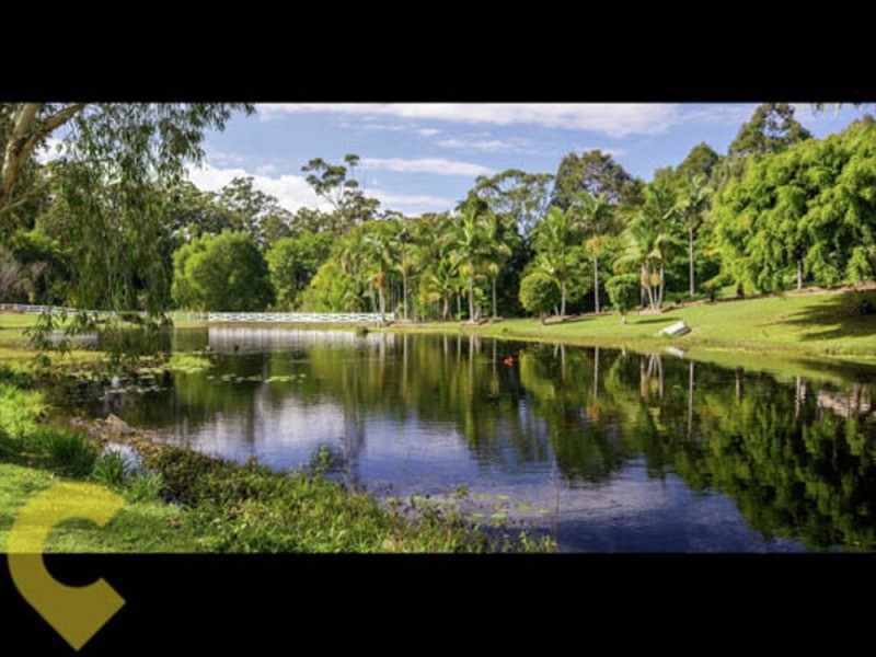 106 McKees Road, Palmwoods QLD 4555