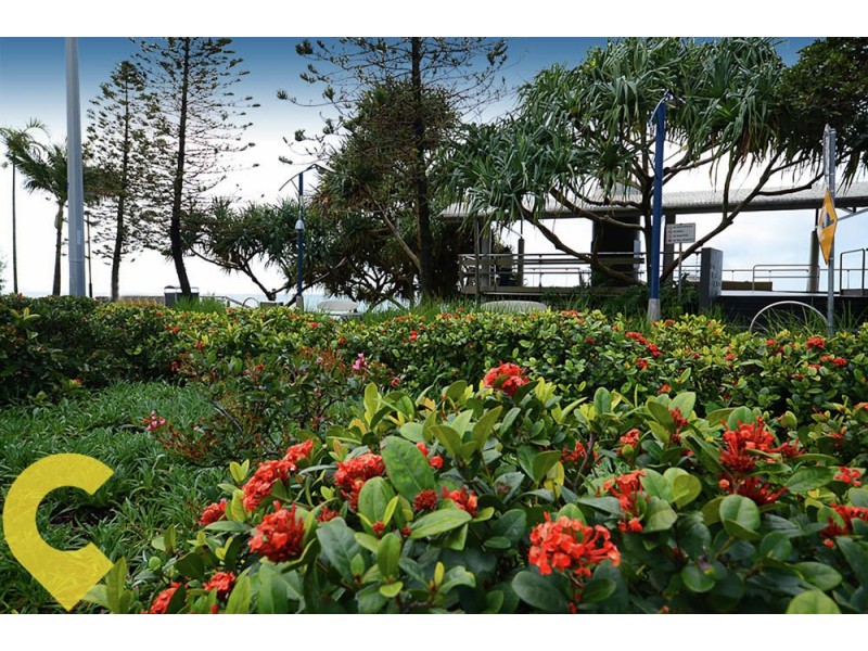 1/27 Walan Street, Mooloolaba QLD 4557