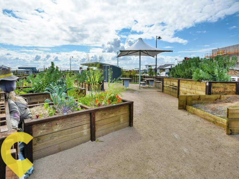 47 Auburn Street, Caloundra West QLD 4551