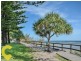 3 Cooma Terrace, Caloundra QLD 4551