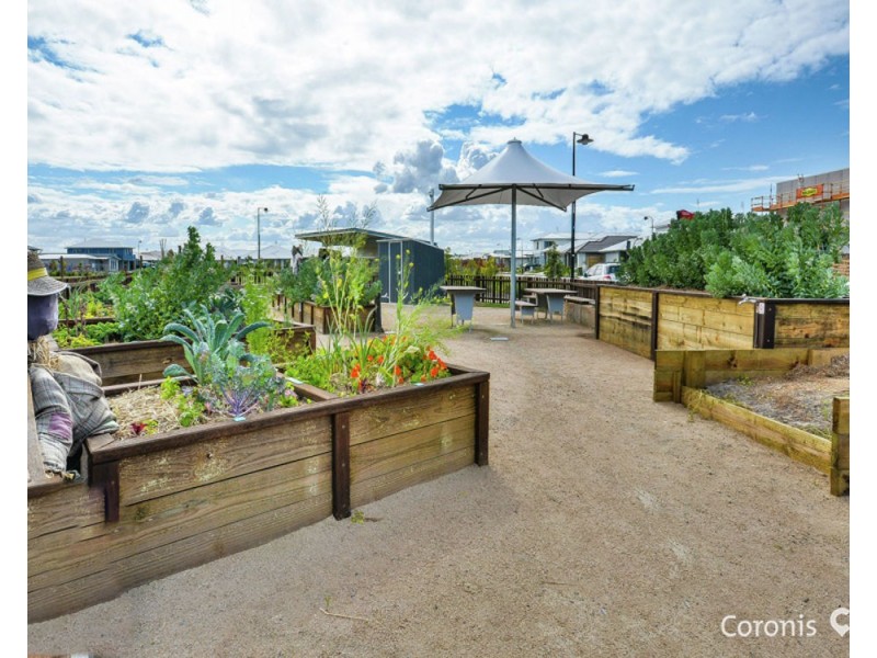 47 Auburn Street, Caloundra West QLD 4551