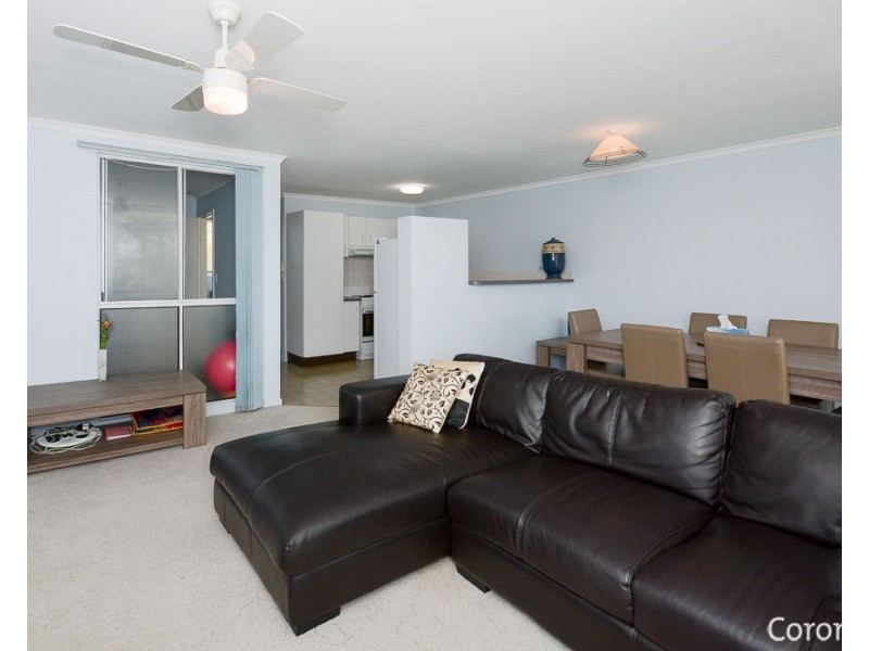 8/93 Iluka Avenue, Buddina QLD 4575