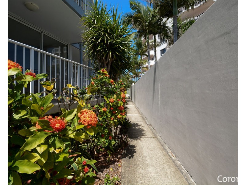 8/93 Iluka Avenue, Buddina QLD 4575