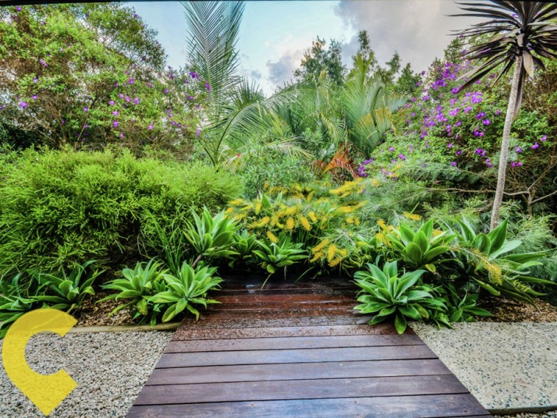 2-4 Oasis Court, Woombye QLD 4559