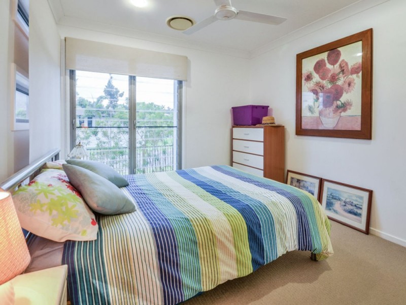 5 Ponytail Circuit, Mountain Creek QLD 4557