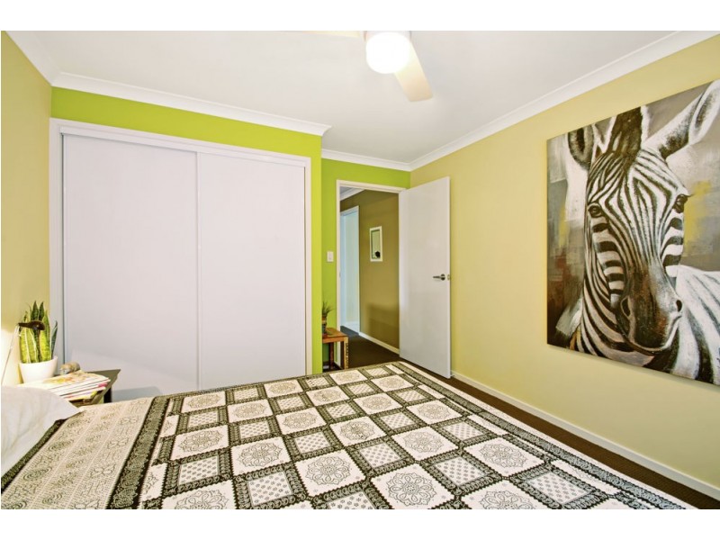 6 Macadam Court, Palmwoods QLD 4555