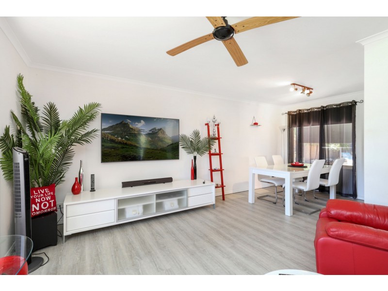 30 Satinwood Place, Mountain Creek QLD 4557