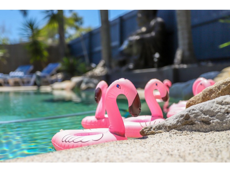 30 Satinwood Place, Mountain Creek QLD 4557