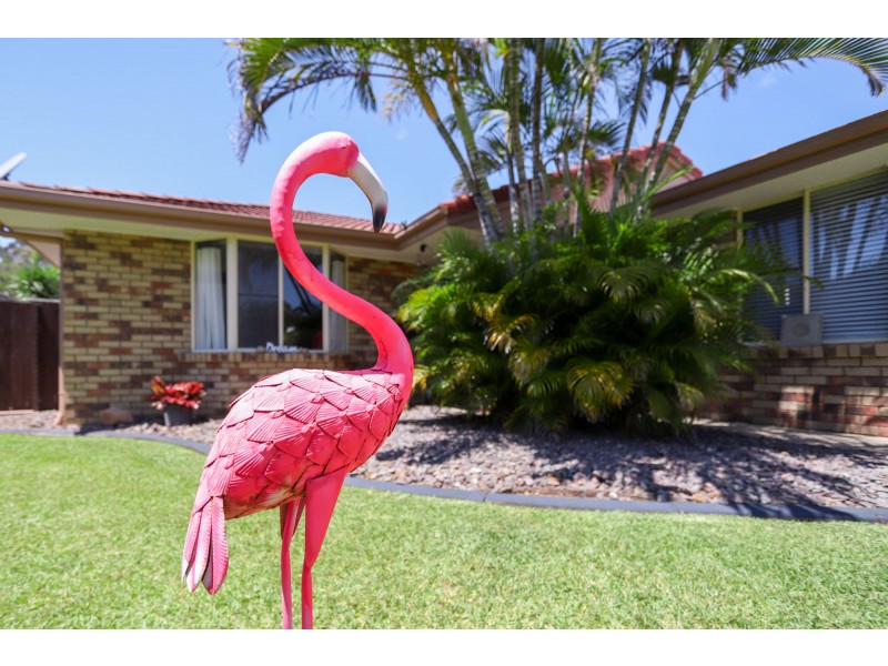 30 Satinwood Place, Mountain Creek QLD 4557