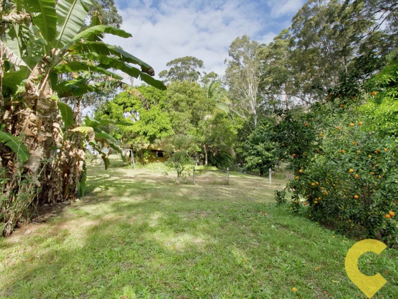 381 Diamond Valley Road, Diamond Valley QLD 4553