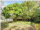 381 Diamond Valley Road, Diamond Valley QLD 4553