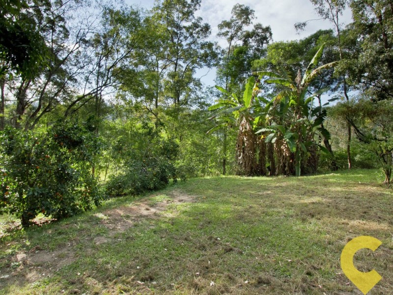 381 Diamond Valley Road, Diamond Valley QLD 4553