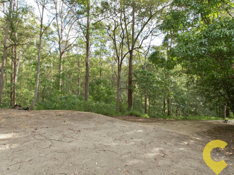 381 Diamond Valley Road, Diamond Valley QLD 4553