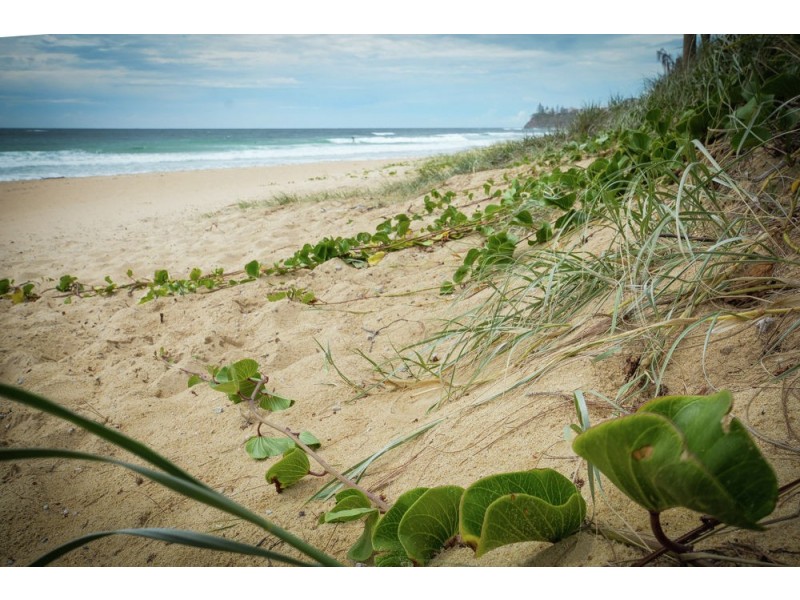 34/6 Beerburrum Street, Dicky Beach QLD 4551