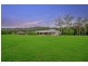 84 Glenfinnan Court, Forest Glen QLD 4556