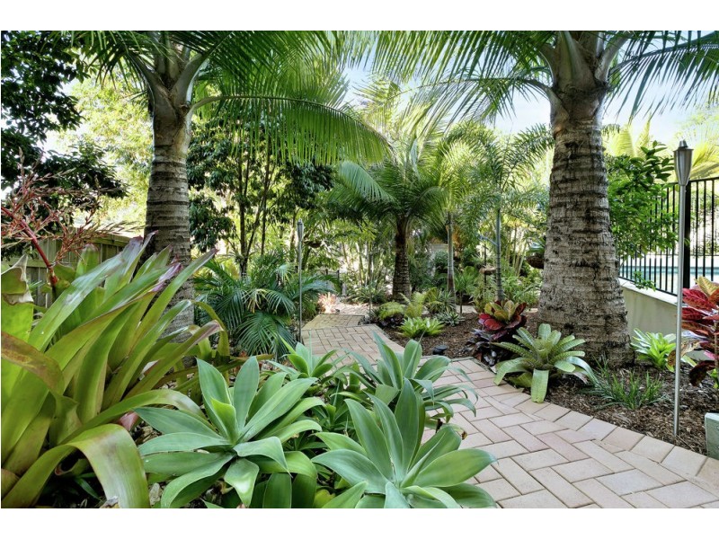 25 Palm Creek Road, Tanawha QLD 4556