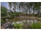 25 Palm Creek Road, Tanawha QLD 4556