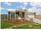 31 Locke Crescent, Caloundra West QLD 4551