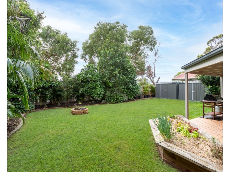31 Homestead Drive, Little Mountain QLD 4551